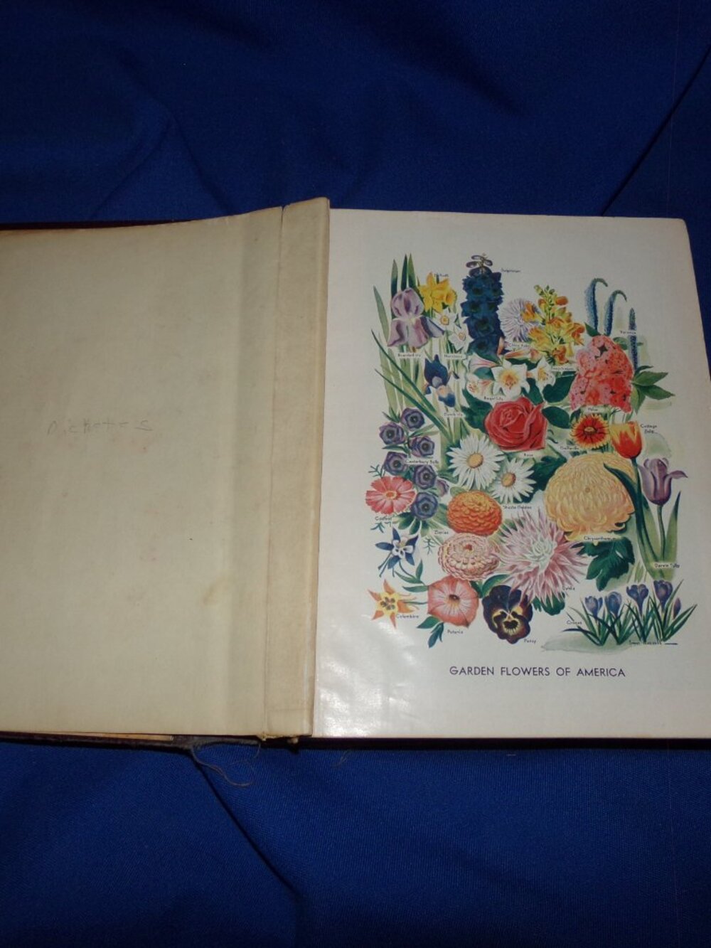Vintage Funk and Wagnalls New Practical Standard Dictionary- Vol. II M-Z - 1952